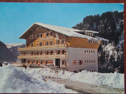 74 - CHATEL - L'Ours Blanc. - Châtel