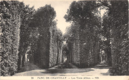 60-CHANTILLY-LE CHÂTEAU-N°T2405-E/0071 - Chantilly