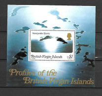 British Virgin Islands 1980 Island Views MS MNH - Iles