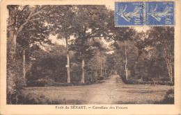 77-SENART-LA FORET-N°T2406-H/0055 - Other & Unclassified