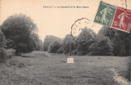 76-PAVILLY-N°T2406-G/0173 - Pavilly