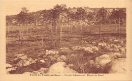 77-FONTAINEBLEAU-LA FORET-N°T2406-H/0235 - Fontainebleau