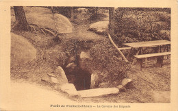 77-FONTAINEBLEAU-LA FORET-N°T2406-H/0231 - Fontainebleau