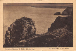 22-LE CAP FREHEL-N°T2407-H/0297 - Autres & Non Classés