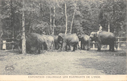 75-PARIS-EXPOSITON COLIONALE-LES ELEPHANTS DE L INDE-N°T2409-B/0227 - Exhibitions