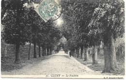 CPA 71 - CLUNY - LE FOUETTIN - Cluny