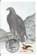 Aigle Royal Avec Le Timbre - Oiseaux