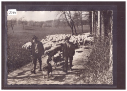 FORMAT 10x15cm - TROUPEAU DE MOUTONS ET LEURS GARDIENS - TB - Autres & Non Classés