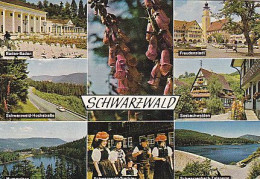 AK 211832 GERMANY - Schwarzwald - Hochschwarzwald