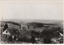 Hatrival - Panorama - Saint-Hubert