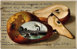 Mohács 1903. Circulated - Baranya - Hungary - Watermill - Ship Mill - Mill - Litho - Embossed - Fruit - Hungary