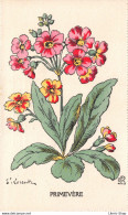 ILLUSTRATEUR DE FLEURS E. LORENTZ - PRIMEVÈRE ( ͡♥ ͜ʖ ͡♥) ♥ - Other & Unclassified