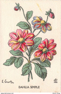 ILLUSTRATEUR DE FLEURS E. LORENTZ - DAHLIA SIMPLE ( ͡♥ ͜ʖ ͡♥) ♥ - Sonstige & Ohne Zuordnung