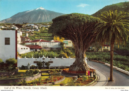 Islas Canarias > Tenerife - Icod Of The Wines Cpm 1980 ( ͡♥ ͜ʖ ͡♥) ♥ - Tenerife