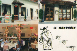 Chalon Sur Saône.Le Mandarin.Rue Michelet.Restaurant Indochinois. - Chalon Sur Saone