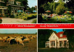 72683951 Westerbork Hotel Restaurant Slomp Garten Schafherde  - Other & Unclassified