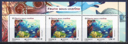 FR 2024-  Haut Titré Illustré  " EUROPA - Faune Sous - Marine " 1 Bande 3ex à 1.96 €  - Neuf** - Neufs