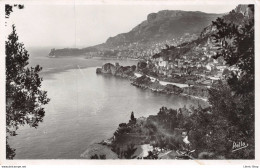 MONACO -- La Principauté Vue De Roquebrune, Cpsm PF 1938  - Édition RELLA  ♦♦♦ - Other & Unclassified