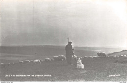 ENGLAND // SUSSEX - A SHEPHERD ON THE SUSSEX DOWNS # SHEEPS - Publisher : Judges.♥♥♥ - Altri & Non Classificati