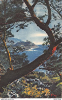 [06]  Le Cap Ferrat Vu A Travers Les Pins D'Alep -  Cpa 1930 ♥♥♥ - Sonstige & Ohne Zuordnung