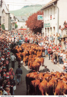 [15]  Allanche - Fête De L'Estive # Vaches # Crédit Agricole CPM ♥♥♥ - Allanche