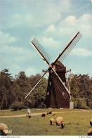 PROVINCIEDOMEIN BOKRIJK OPENLUCHTMUSEUM Houten Achtkantige Bovenkruier Uit Schulen, 18. Eeuw - Cpsm GF 1972 ♥♥♥ - Sonstige & Ohne Zuordnung