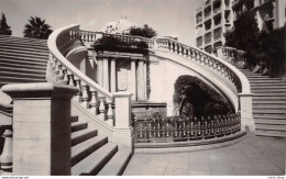 ALGER  Escalier Monulental Du Parc De Galland  N°257 La Cigogne ± 1920 ♥♥♥ - Alger