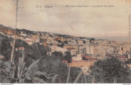 ALGER Supérieur - A Travers Les Aloës - N°312 Collection D.Z ± 1920 ♥♥♥ - Algiers