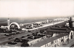 ALGER - Carte-Photo ± 1930 R. Raynal - Foire-Exposition D'Alger  ♥♥♥ - Algiers