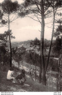 [85] SION-SUR-L'OCÉAN - A TRAVERS LA FORÊT DE PINS - ÉDIT. F. CHAPEAU Cpsm 1948 ♦♦♦ - Autres & Non Classés