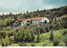 [42] LE BESSAT -LE CHALET DES ALPES- CENTRE DE LOISIRS ET DE VACANCES - CPM GF 1980 ♦♦♦ - Other & Unclassified