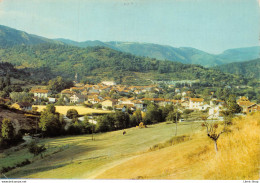 [43] VOREY-sur-ARZON Vue Générale  Cpm GF 1976 ( ͡◕ . ͡◕) ♣ - Autres & Non Classés