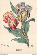 ILLUSTRATEUR DE FLEURS E. LORENTZ - TULIPE ( ͡♥ ͜ʖ ͡♥) ♥ - Other & Unclassified