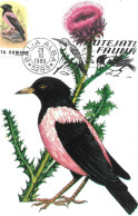 Lacustarul - Étourneau Roselin Avec Le Timbre - Oiseaux