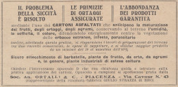 Soc. An. ORTALLI & C. - Piacenza - 1930 Pubblicità - Vintage Advertising - Advertising