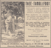 V2693 Insetticida Tree Tanglefoot - Emilio Perera - 1930 Pubblicità - Vintage Ad - Publicités
