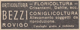 Orticoltura BEZZI - Rovigo - 1931 Pubblicità Epoca - Vintage Advertising - Werbung