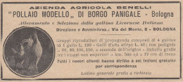 Azienda Agricola Benelli - Pollaio Moderno Borgo Panigale 1931 Pubblicità - Reclame