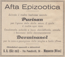 Afta Epizootica - Purisan - Dermisanol - 1928 Pubblicità - Vintage Ad - Werbung