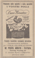 Berutti Bergotto Carlo & C. Genova - L'uovo Miracoloso - 1928 Pubblicità  - Advertising