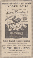 Berutti Bergotto Carlo & C. Genova - L'uovo Miracoloso - 1928 Pubblicità  - Publicités