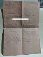 Esodo Giuliano Dalmato Jugoslavija Rijeka 1949 Document No Impediment For Repatriation To Italy - Ohne Zuordnung