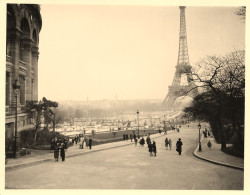 Paris 7ème * La Tour Eiffel * TOUR EIFFEL * 3 Photos Anciennes Format 13x10.2cm - Paris (07)