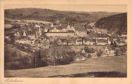 Bebenhausen - Panorama Gel.1920 - Tübingen