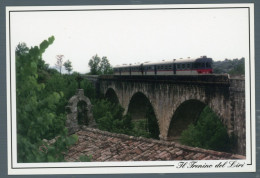 °°° Cartolina - Sora Il Trenino Del Liri - Nuova °°° - Frosinone