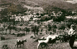 72682641 Olanesti-Valcea Kind Mit Ziegen Olanesti-Valcea - Romania