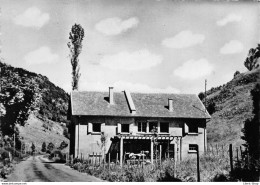 [38] GRESSE-EN-VERCORS (Isère). 1 205 M. 10. La Colonie Saint-Louis. Editions Artistiques A.D.I.A. Cpsm 1972 ♥♥♥ - Sonstige & Ohne Zuordnung