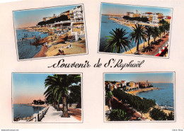 [83] Souvenir De Saint-Raphaël - MULTIVUES - CPSM ± 1960 ♥♥♥ - Saint-Raphaël