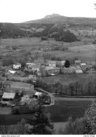 [43] ARAULES - Vue Générale Et Le Lizieux  - Cpsm GF ± 1960 ♥♥♥ - Other & Unclassified