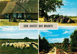 72682407 Drente Oude Boerderij Schoonebeek Hunebed Rolde Schaapherder Exlo Bos E - Other & Unclassified